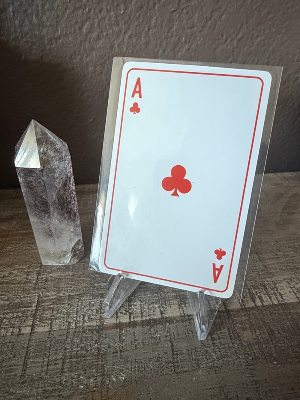 Dior Ace of Clubs